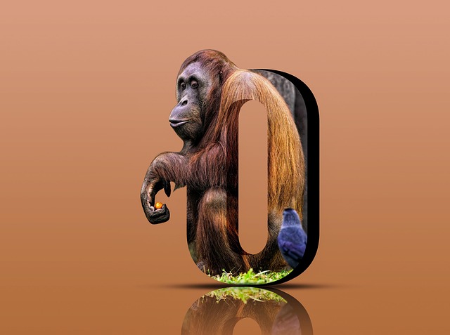 graphic design