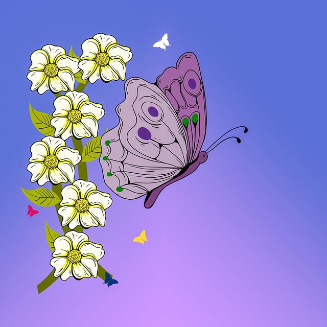 graphic design